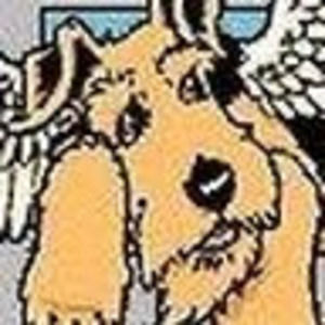 Meet your Posher, Ellen